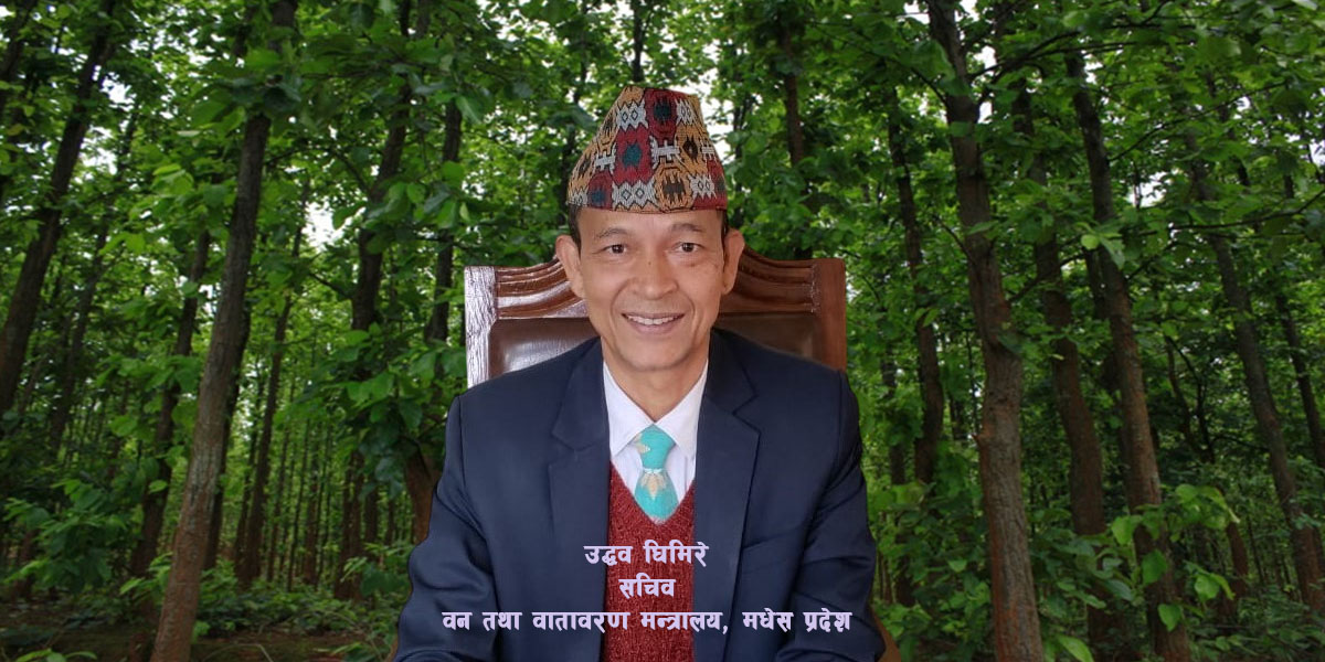वन विनासमा प्रभावशाली व्यक्ति जोडिएपछि सचिव घिमिरेले लुकाए छानबिन प्रतिवेदन