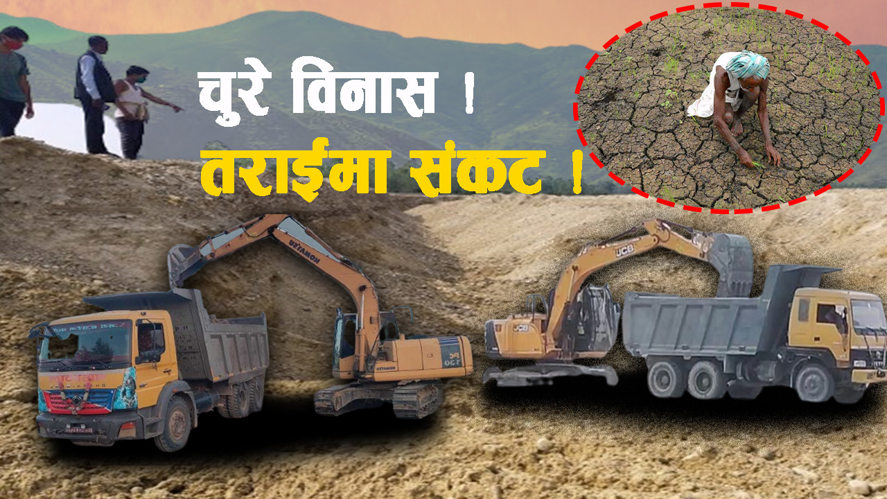 सबैको मिलेमतोमा तस्करको दोहनले चुरे र तराई संकटमा